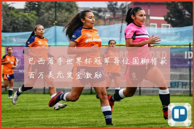 巴西若夺世界杯冠军每位国脚将获百万美元奖金激励